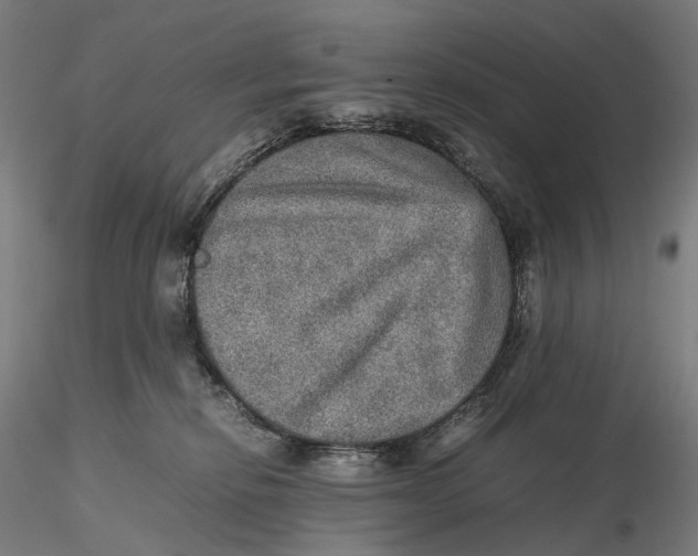 X0000115580278200912011446