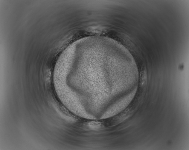 X0000115580279200912011446