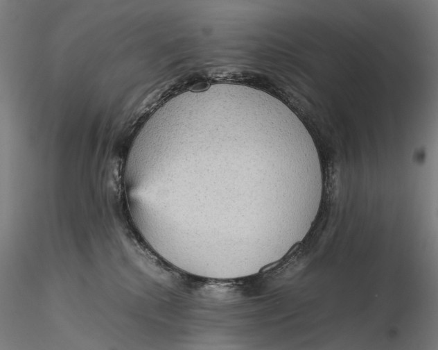 X0000115580280200912011446