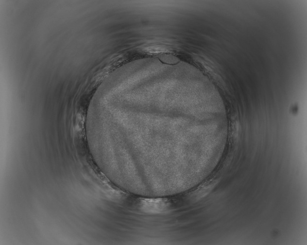 X0000115580281200912011446