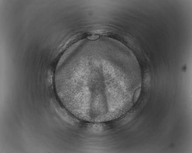 X0000115580282200912011446