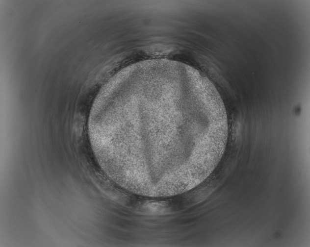 X0000115580283200912011446