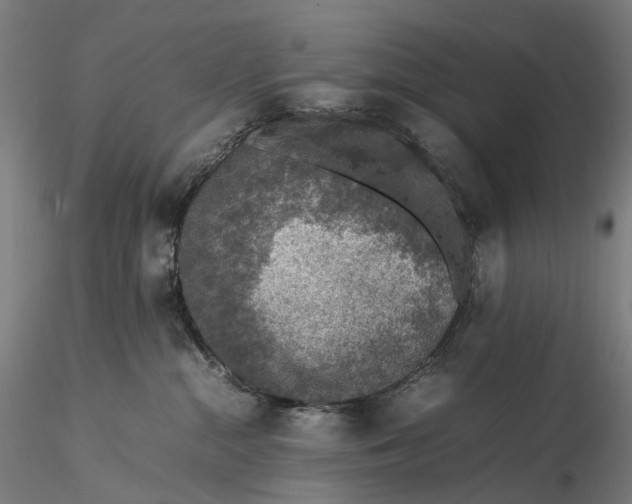 X0000115580284200912011446