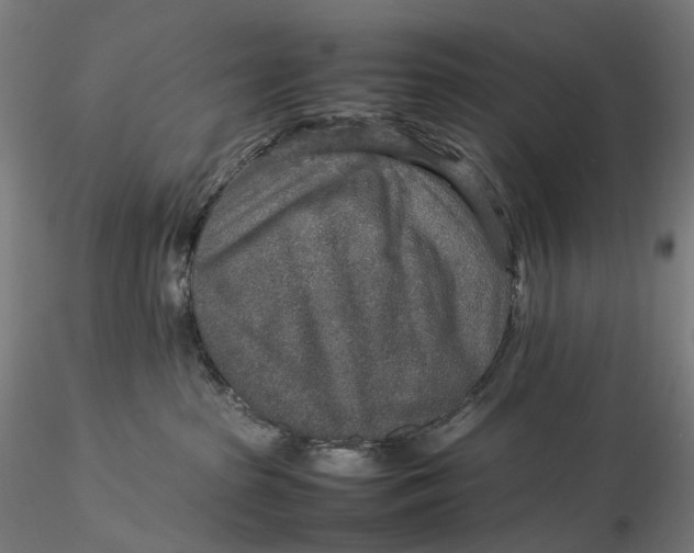 X0000115580285200912011446