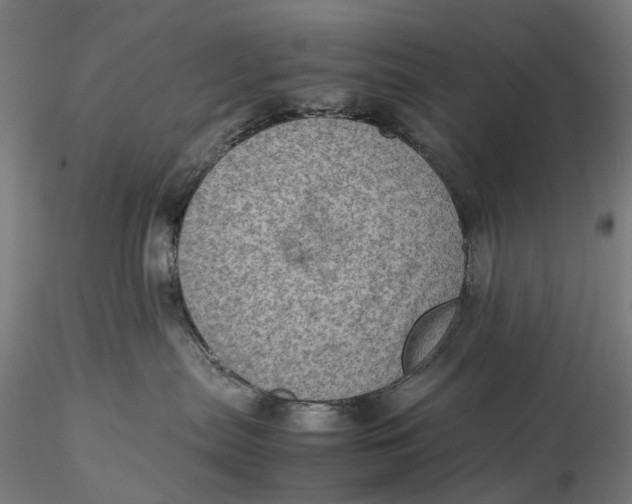 X0000115580287200912011446