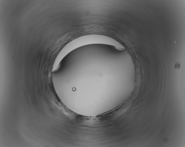 X0000115580288200912011446