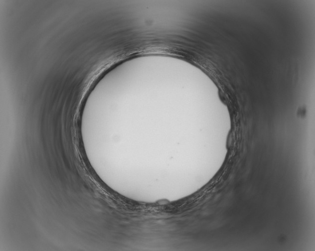 X0000115580289200912011446