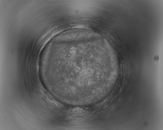 X0000115580290200912011446