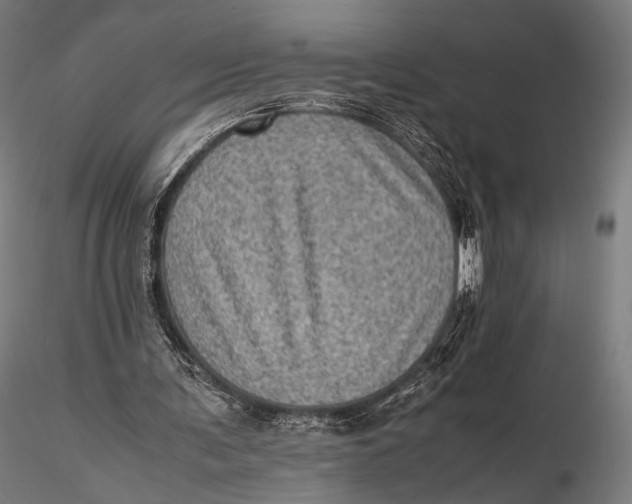 X0000115580291200912011446