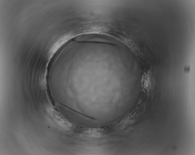 X0000115580292200912011446