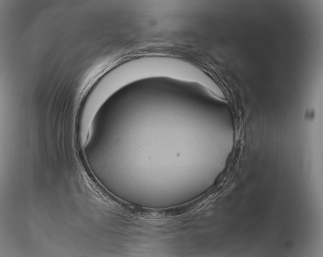 X0000115580293200912011446