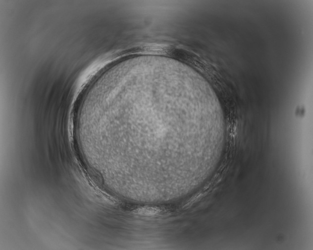 X0000115580294200912011445