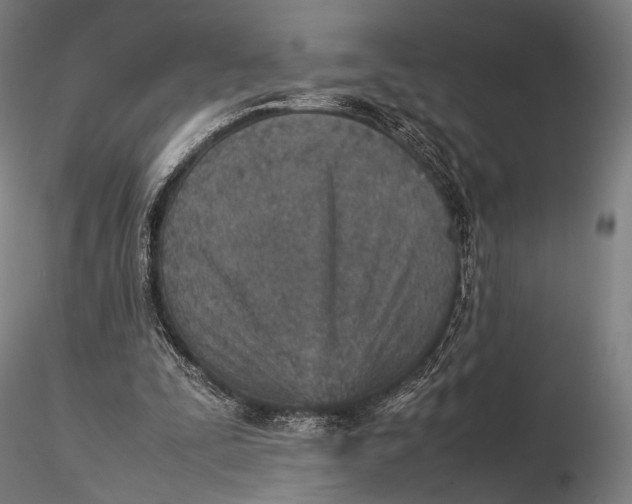 X0000115580295200912011445