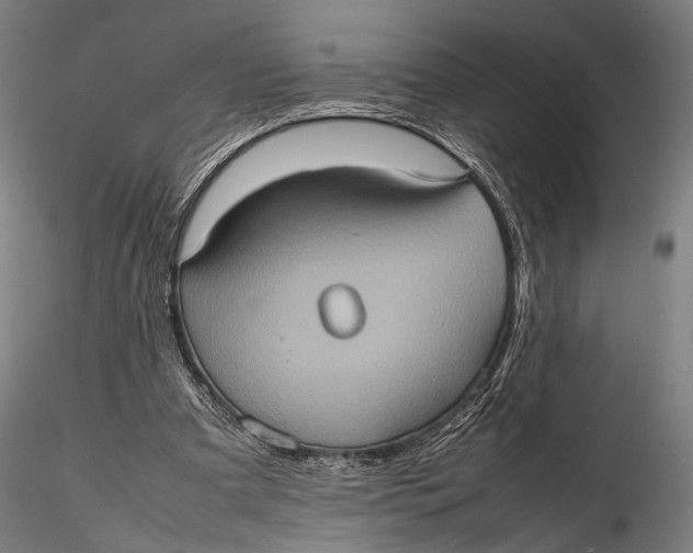 X0000115580297200912011445