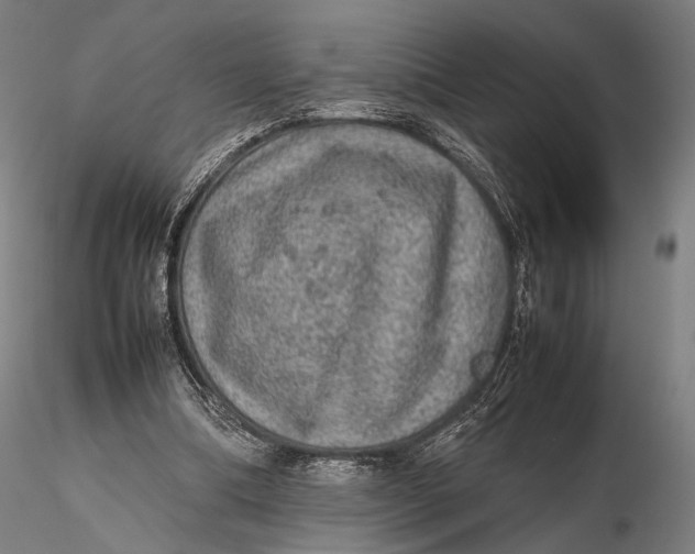 X0000115580298200912011445