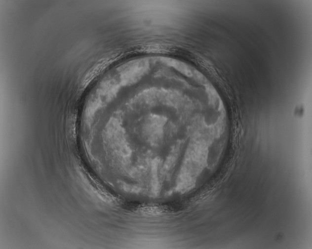 X0000115580299200912011445