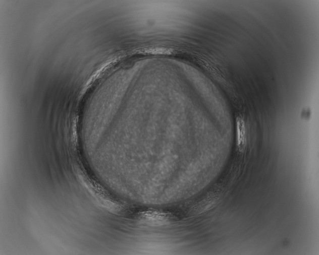 X0000115580300200912011445