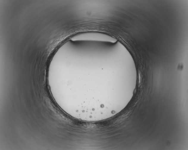 X0000115580301200912011445