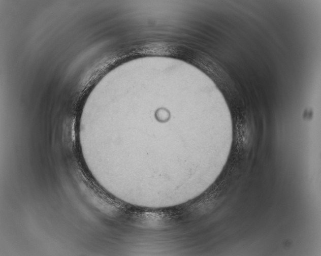 X0000115580302200912011445