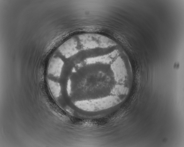 X0000115580303200912011445