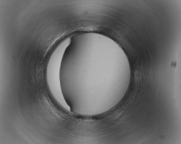 X0000115580304200912011445