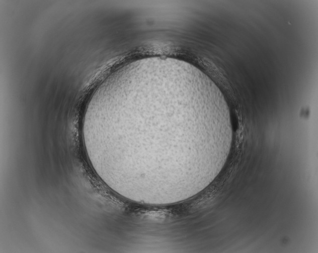 X0000115580306200912011445