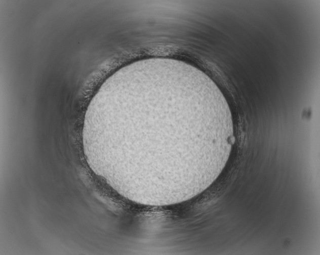 X0000115580307200912011445