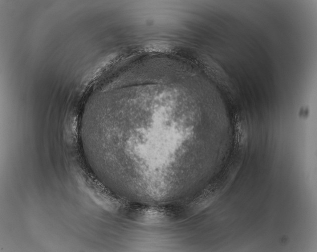 X0000115580308200912011445