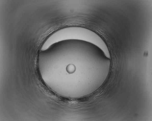 X0000115580309200912011445