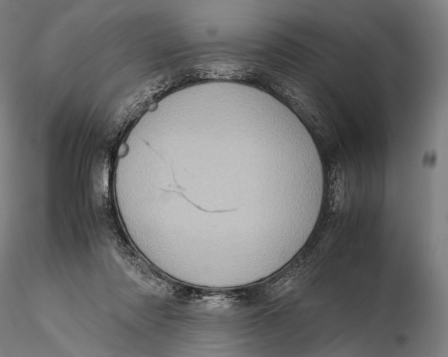 X0000115580310200912011445