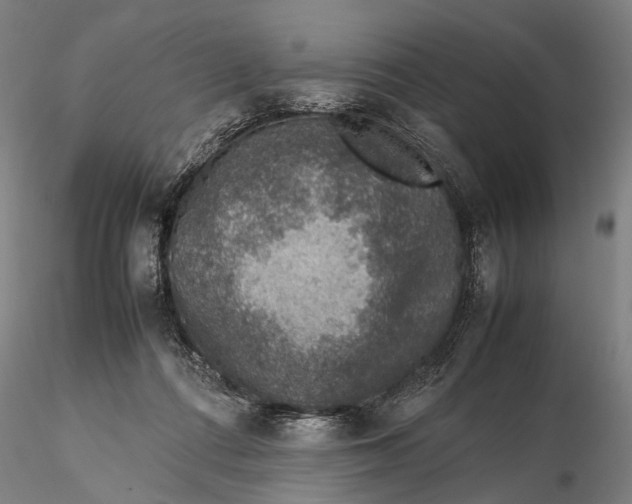 X0000115580312200912011445