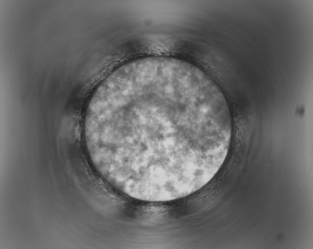 X0000115580313200912011445