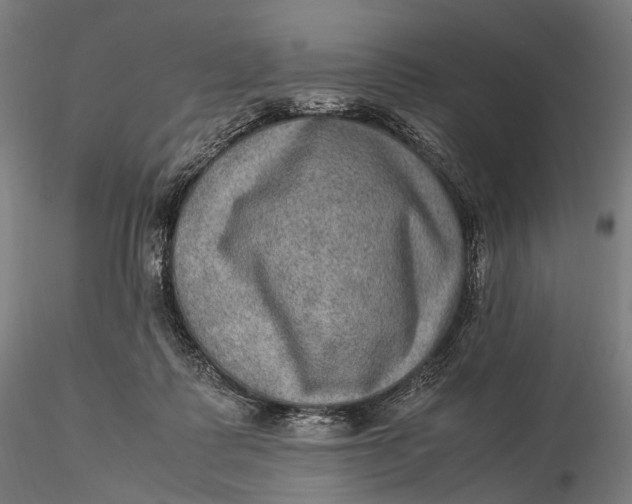 X0000115580315200912011445