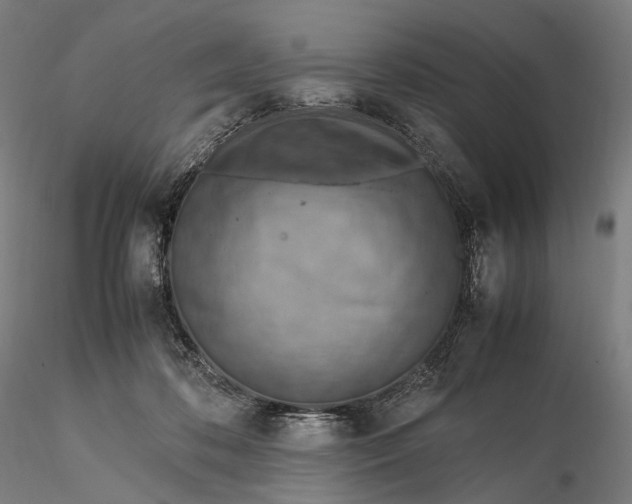 X0000115580316200912011445