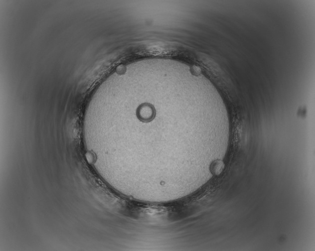 X0000115580317200912011445