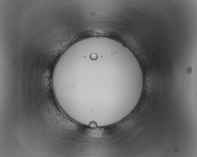 X0000115580318200912011445