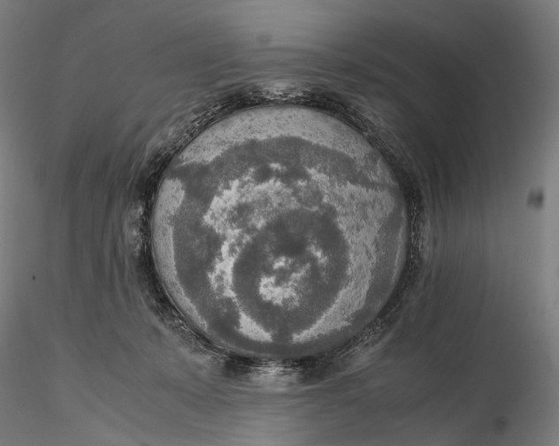 X0000115580319200912011445