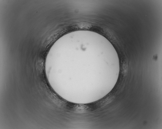 X0000115580321200912011445