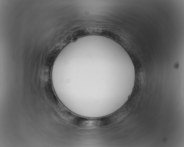 X0000115580323200912011445