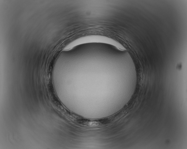 X0000115580324200912011445