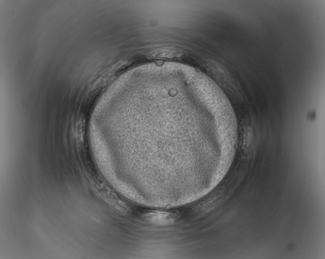 X0000115580326200912011445