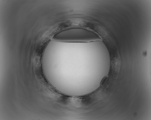 X0000115580327200912011445