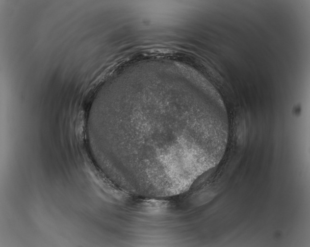 X0000115580328200912011445