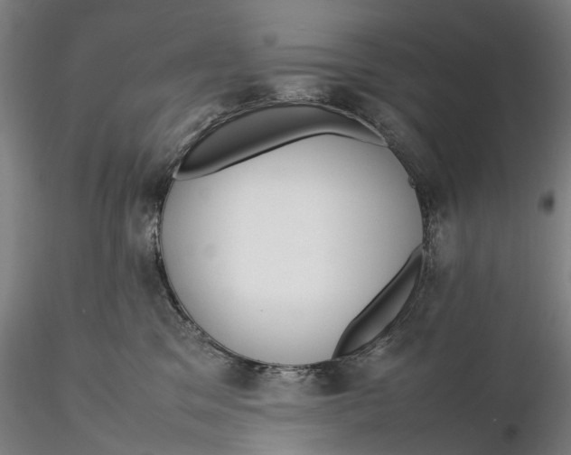 X0000115580329200912011445