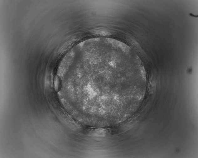 X0000115580330200912011445