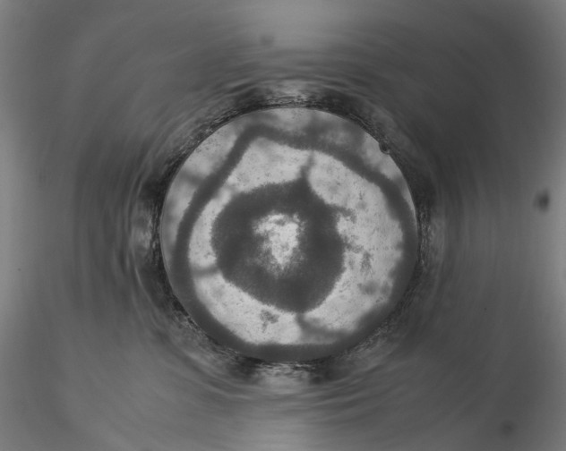 X0000115580331200912011445