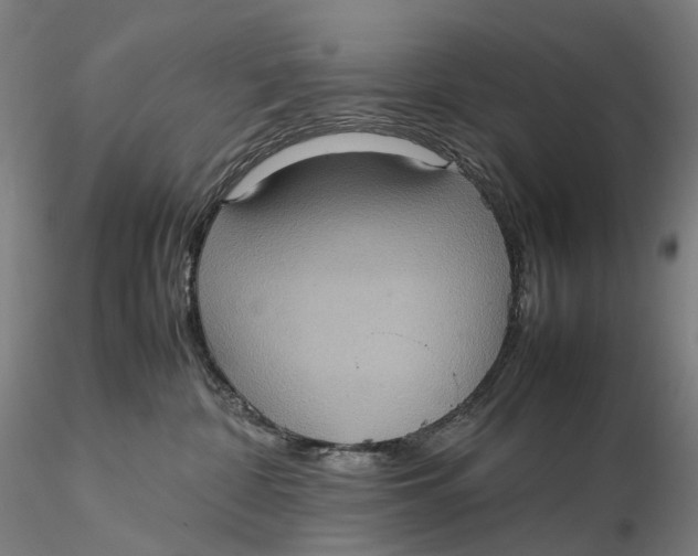 X0000115580332200912011445