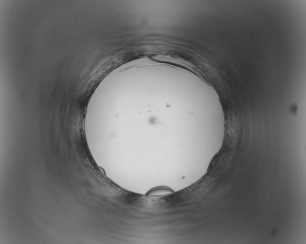 X0000115580333200912011445