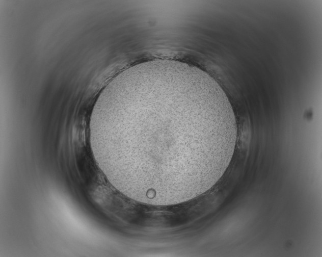 X0000115580334200912011445