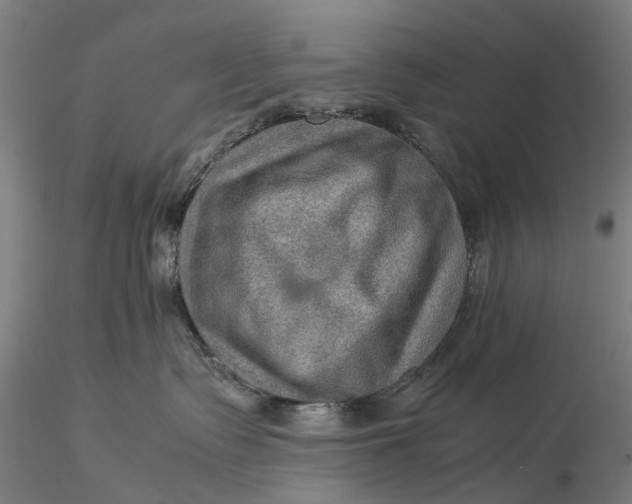 X0000115580335200912011445